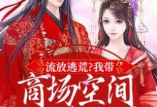 流放逃荒？我带商场空间活的舒服嘞热门小说(林书棠段砚洲)在线阅读无弹窗-木头文学