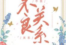 不良关系大结局，桑胤衡南枫小说无广告阅读-木头文学