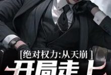 绝对权力：从天崩开局走上官途巅峰小说最新章节在哪里可以免费看-木头文学