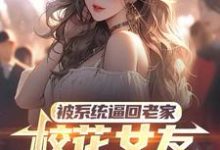 被系统逼回老家，校花女友追来了（萧川）最新章节在线阅读-木头文学