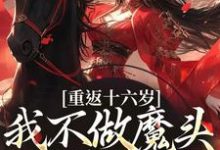 完结版重返十六岁，我不做魔头改修仙了在哪免费看，晏琅小说在线阅读-木头文学