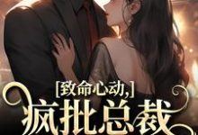 小说致命心动!疯批总裁掐腰诱哄主角薄宴辞裴梨免费阅读-木头文学