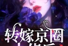 主人公是苏婉禾司北琛的小说转嫁京圈大佬后，前任悔不当初免费阅读-木头文学