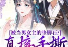 求助这本被当男女主的垫脚石?直接手撕剧本小说在哪里可以看完结版-木头文学
