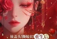 扯盖头!撕嫁衣!重生后她不忍了小说最新章节在哪里可以免费看-木头文学
