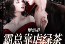 跪求主角是陆星悦厉寒湛的小说书名叫什么-木头文学
