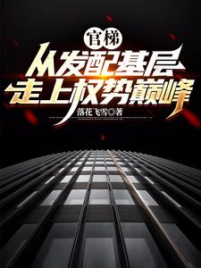 主人公是杨飞方婷的小说官梯：从发配基层走上权势巅峰免费阅读