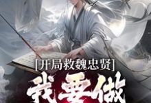 开局救魏忠贤，我要做宫斗冠军（朱由检）最新章节在线阅读-木头文学