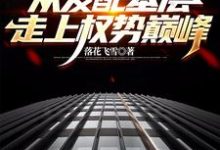 官梯:从发配基层走上权势巅峰免费阅读(杨飞方婷)小说免费读最新章节-木头文学