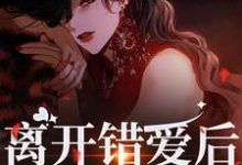 离开错爱后，她独自美丽完结版夏枝封祈免费阅读大结局-木头文学