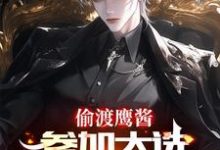 主人公是赵峰的小说偷渡鹰酱，参加大选不过分吧？免费阅读-木头文学