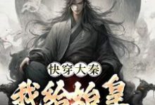 快穿大秦：我给始皇当左相无弹窗秦牧最新章节列表-木头文学
