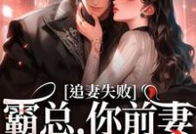 跪求主角是乔景熙战景墨的小说书名叫什么-木头文学