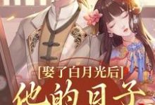 娶了白月光后，他的日子鸡飞狗跳（盛栖月萧玉衡）完结版免费阅读-木头文学