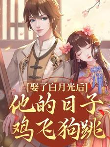 娶了白月光后，他的日子鸡飞狗跳（盛栖月萧玉衡）完结版免费阅读