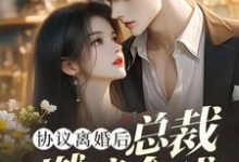 协议离婚后，总裁燃遍全球免费阅读，林深大结局无弹窗-木头文学