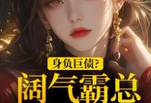 身负巨债？阔气霸总随手解决！无弹窗苏屹杉郁寒铮最新章节列表-木头文学
