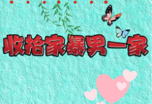 重生改嫁兵哥哥，收拾家暴男一家在线看，关慧云石宏昭小说大结局在哪免费看-木头文学