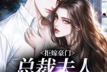 拒嫁豪门，总裁夫人带球跑（时今棠萧京野）最新章节免费阅读-木头文学