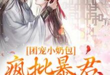 团宠小奶包，疯批暴君沉迷养崽小说最新章节在哪里可以免费看-木头文学