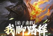 弟子求救，我脚踏祥云开大招最新章节弟子求救，我脚踏祥云开大招在线阅读-木头文学