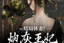结局休妻？炮灰王妃她力挽狂澜大结局，李天娇玉宸小说无广告阅读-木头文学