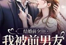 主人公是薄寒深曲南枝的小说结婚前夕,我被前男友带走了免费阅读-木头文学