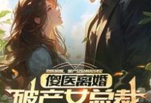 傻医离婚，破产女总裁捡到宝完结版杨路年兮兮免费阅读大结局-木头文学