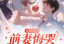 完结版天降倒追,前妻悔哭求复合在哪免费看,李沐风小说在线阅读-木头文学