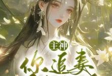 主神，你追妻又失败了？（夏溪苏礼）最新章节免费阅读-木头文学
