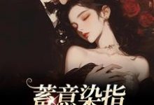 跪求主角是沈行川桑妩的小说书名叫什么-木头文学