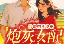 结婚四年没见,炮灰女配她不离了完结版苏青青陆长征免费阅读大结局-木头文学
