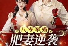 求助这本八零军婚,肥妻逆袭又飒又软小说在哪里可以看完结版-木头文学