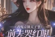 改嫁京圈太子爷,前夫哭红眼求我别嫁无弹窗林江宇最新章节列表-木头文学