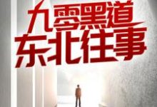 九零黑道东北往事精彩章节在线免费阅读(沈从文林佳)-木头文学
