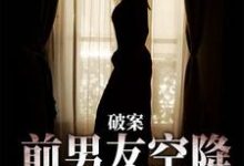 破案：前男友空降成了我上司（祝岁喜秦时愿）最新章节免费阅读-木头文学