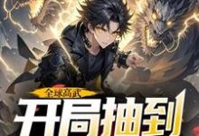 全球高武，开局抽到荒古圣体精彩章节在线免费阅读（许天）-木头文学