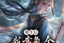 主角是沈云的小说重生后,我靠氪金云养未来女帝在哪免费看-木头文学