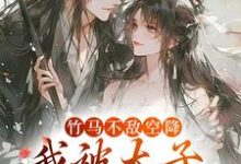 竹马不敌空降,我被太子宠上天大结局,薛泠谢珩小说无广告阅读-木头文学