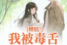 糟糕！我被毒舌霸总缠上了大结局，迟笙沈京洲小说无广告阅读-木头文学