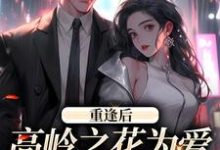 重逢后,高岭之花为爱变身追妻狂魔小说最新章节在哪里可以免费看-木头文学