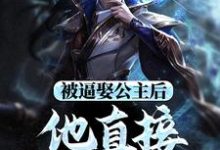 求助这本被逼娶公主后，他直接坐了皇位小说在哪里可以看完结版-木头文学