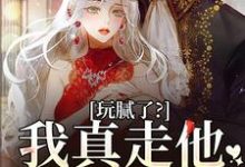 玩腻了？我真走他又不高兴热门小说(阮柠贺宴川)在线阅读无弹窗-木头文学