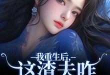 小说我重生后,这渣夫咋还换人格了主角林菀宁免费阅读-木头文学
