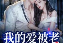 我的爱被老婆永久拉黑无弹窗姜软软段辞最新章节列表-木头文学