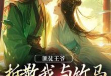 匪徒王爷拆散我与竹马,逼我嫁他!完结版楼晚棠裴肆瑾免费阅读大结局-木头文学