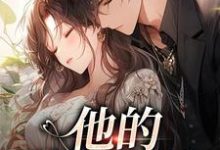 跪求主角是司向淮乌椿的小说书名叫什么-木头文学