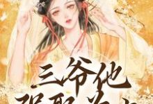主角是林知意的小说三爷他强娶为上在哪免费看-木头文学