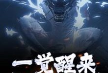 主人公是叶尘渊江月寒的小说一觉醒来，我修为全失免费阅读-木头文学