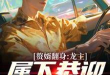 赘婿翻身：龙主，属下恭迎您归位完结版叶尘林含雪免费阅读大结局-木头文学